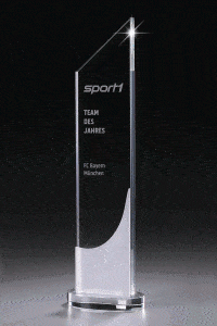 Glastrophäe "Frozen High Tower Award" mit Lasergravur