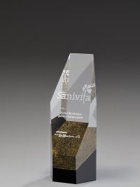 Glastrophäe "Aurum Award" mit Lasergravur