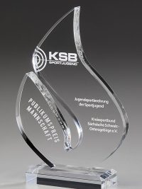 Glastrophäe "Emotion Award" mit Glasgravur