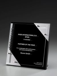 Glastrophäe "Sunray Chrome Award" mit Glasgravur