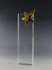 Glaspokale, Glaspokal, Lasergravur, Glasgravur, Glasaward, Glasawards, Glastrophäe, Glaspokal kaufen, Glaspokale kaufen, Glaspokal mit Gravur, Glaspokal gravieren lassen, Glaspokal Lasergravur, Glastrophäe mit Gravur, Awards kaufen, Award mit Gravur