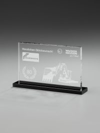 SCREEN AWARD - Glastrophäe