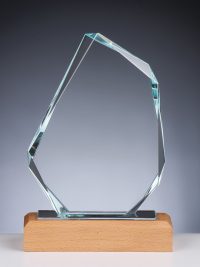 CARA AWARD - GLASPOKAL