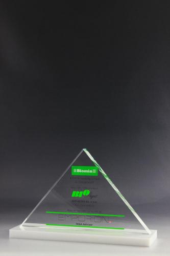 Glastrophäe mit UV-Direktdruck als Gravur